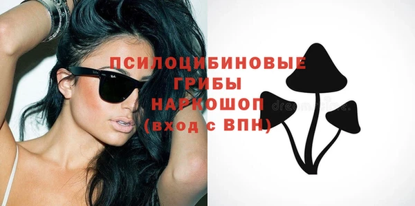 бутират Алексин