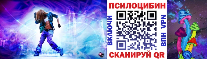 Галлюциногенные грибы мухоморы  где купить наркоту  Чкаловск 