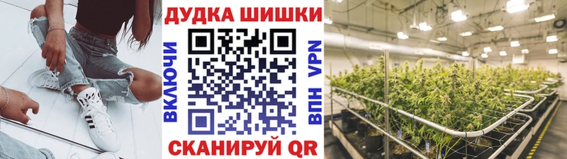 Конопля семена  Чкаловск 